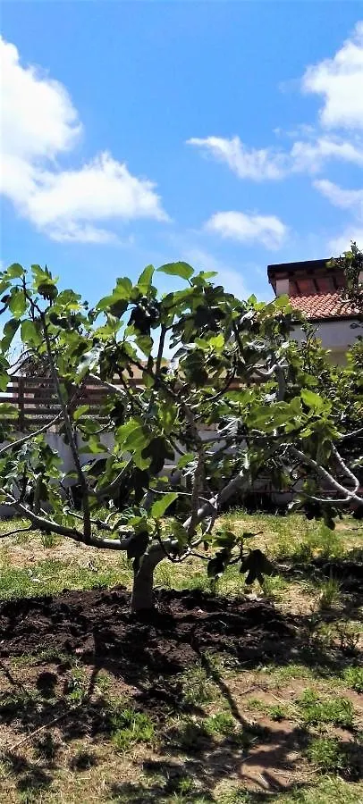 2 Bedrooms House At Scicli 150 M Away From The Beach With Furnished Terrace And Wifi